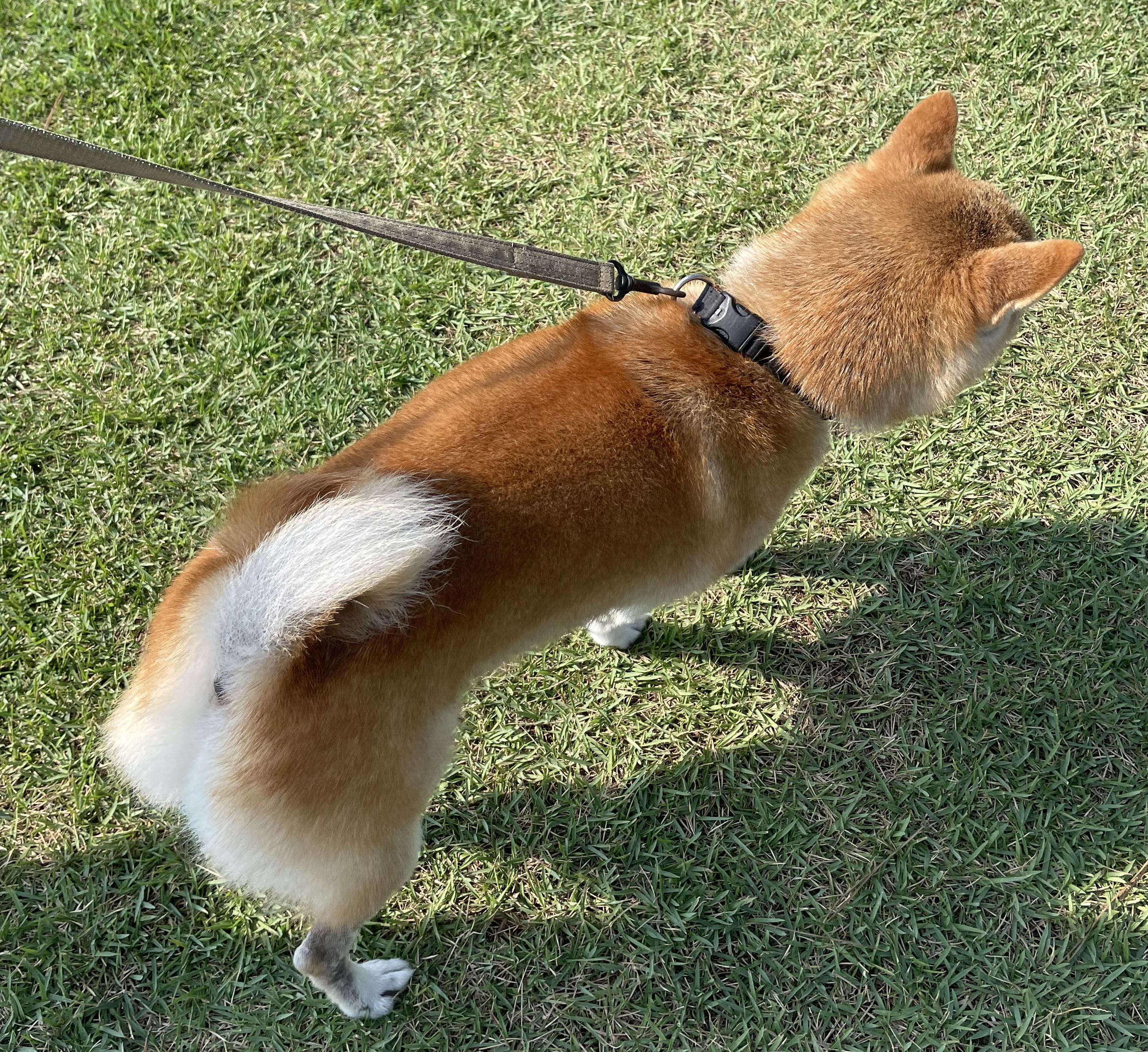 中山写真”　width=